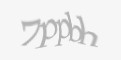 Защитный код